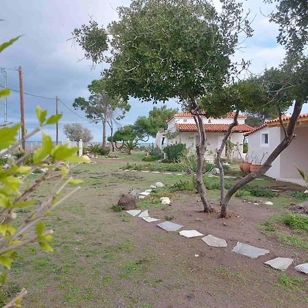 Vintage Beach House Agia Anna  Exterior photo