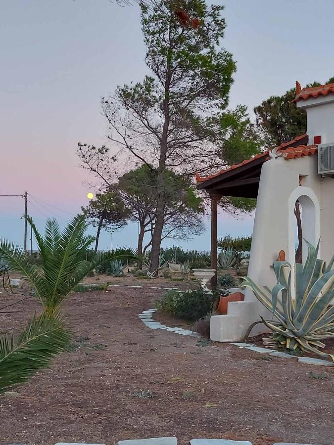 Vintage Beach House Agia Anna  Exterior photo